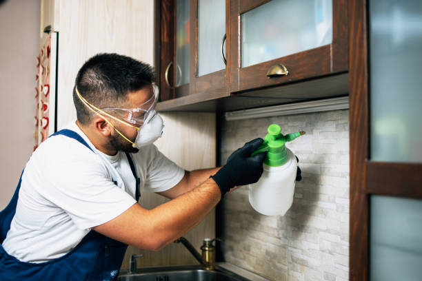 Best Affordable Pest Control Services  in Perham, MN