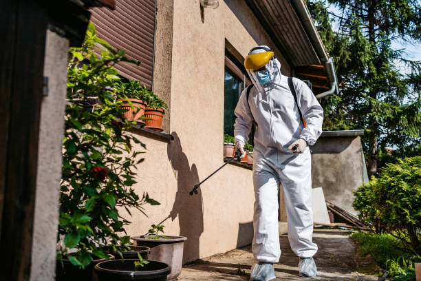 Best Cockroach Control Services  in Perham, MN